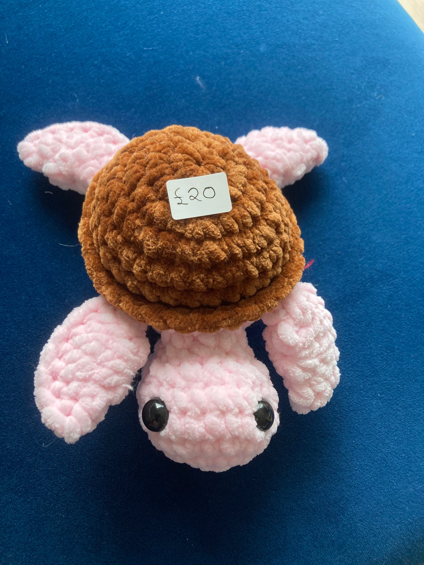 Turtle Pink and Brown