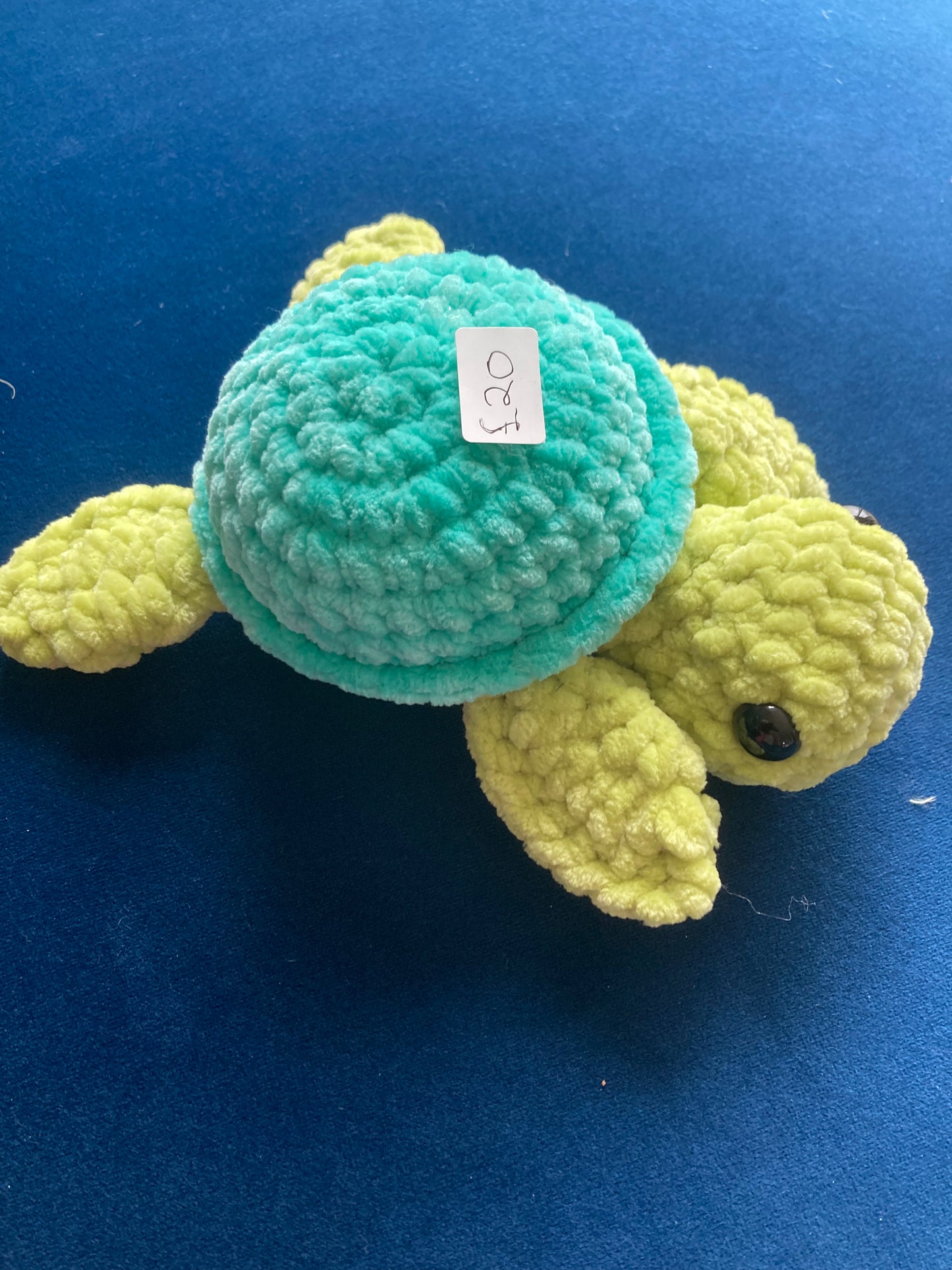Turtle Turquoise and Yellow