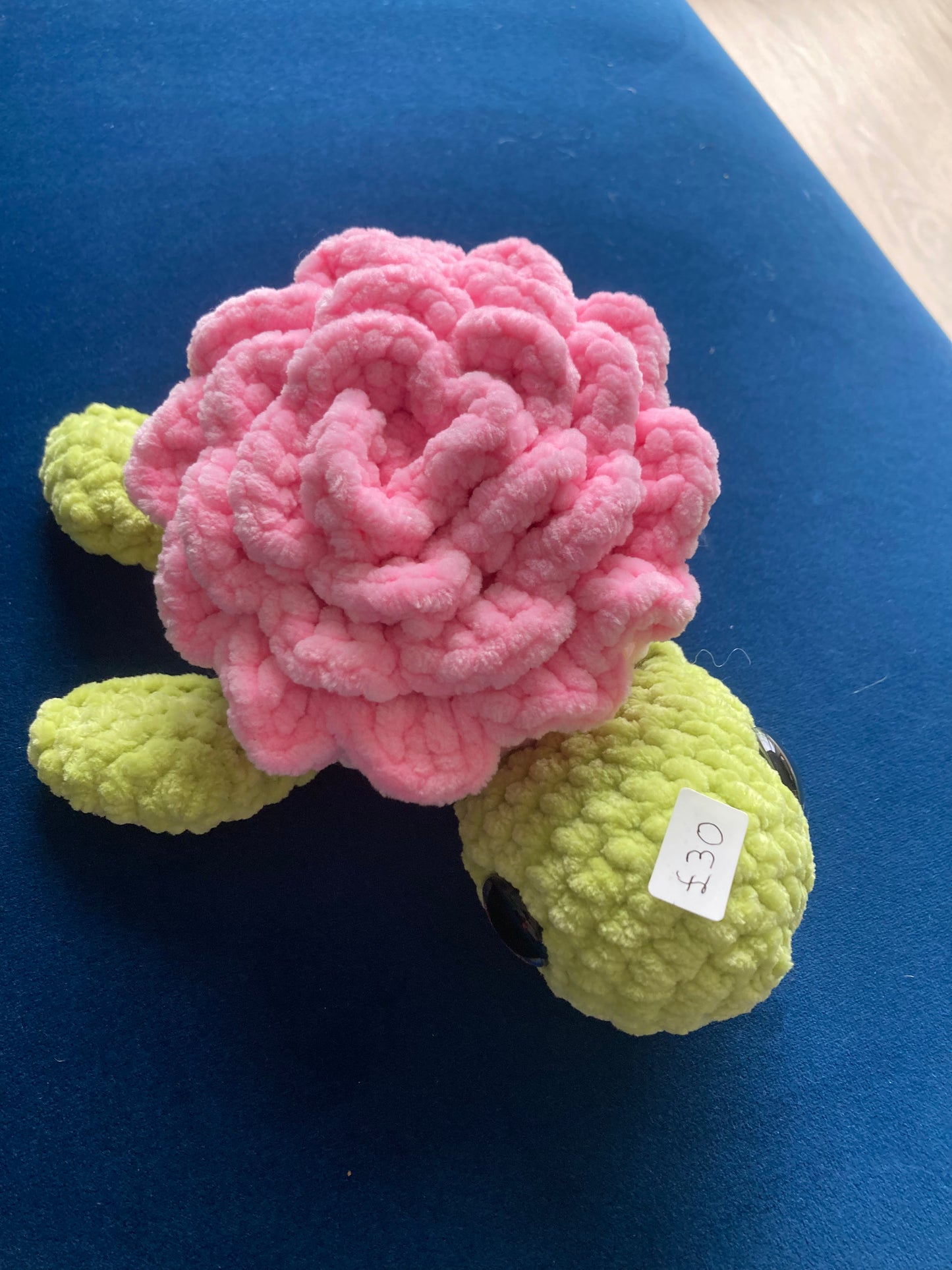 Turtle Yellow and Pink