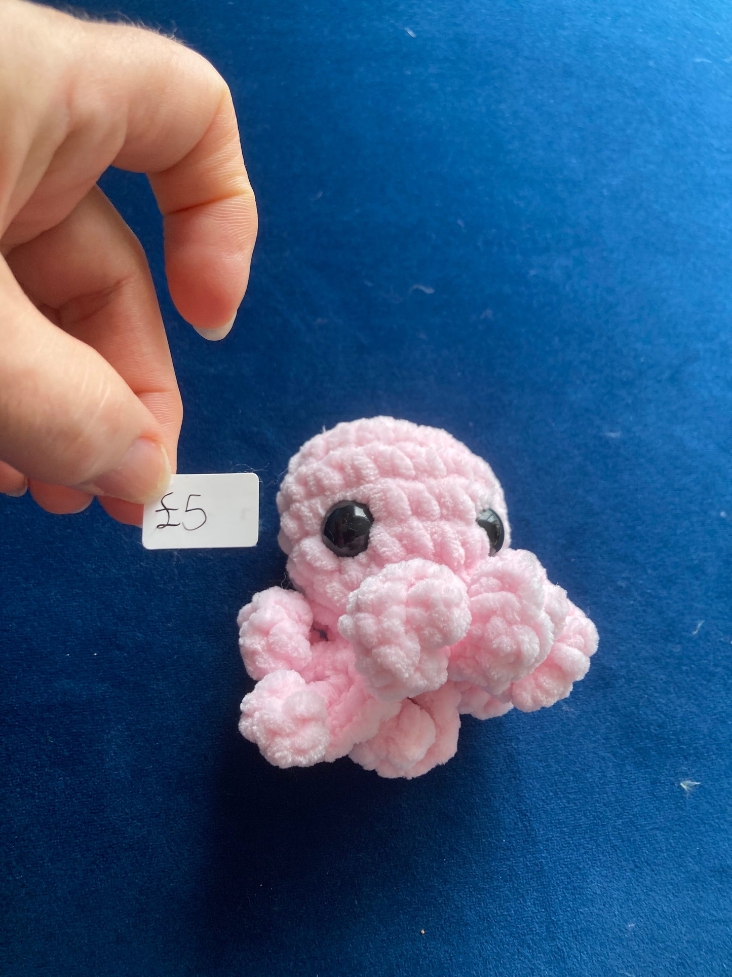 Octopus Pink