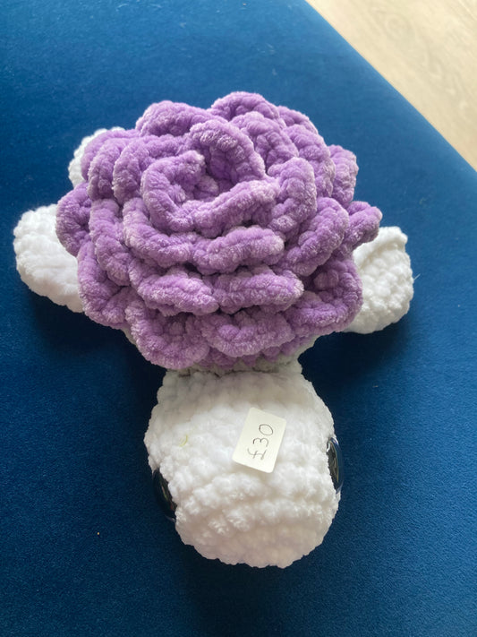 Turtle Purple and White