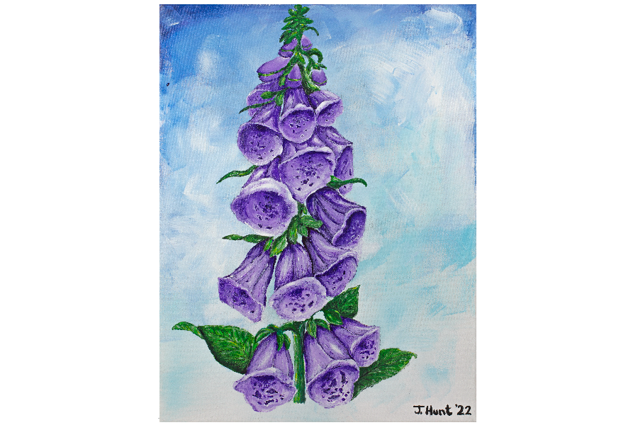 Limited Edition Giclee Prints of original Fox Glove Painting